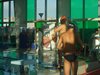DSCF3584